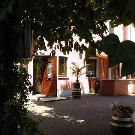 Assos Hotel Asbach-Bäumenheim Exteriér fotografie